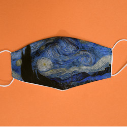 Έναστρη νύχτα